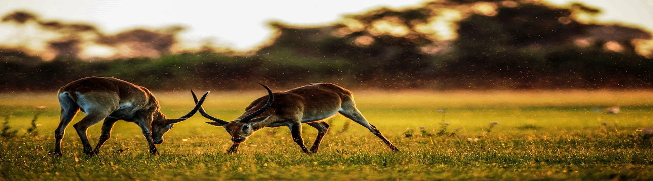 MOOVIN AFRICA