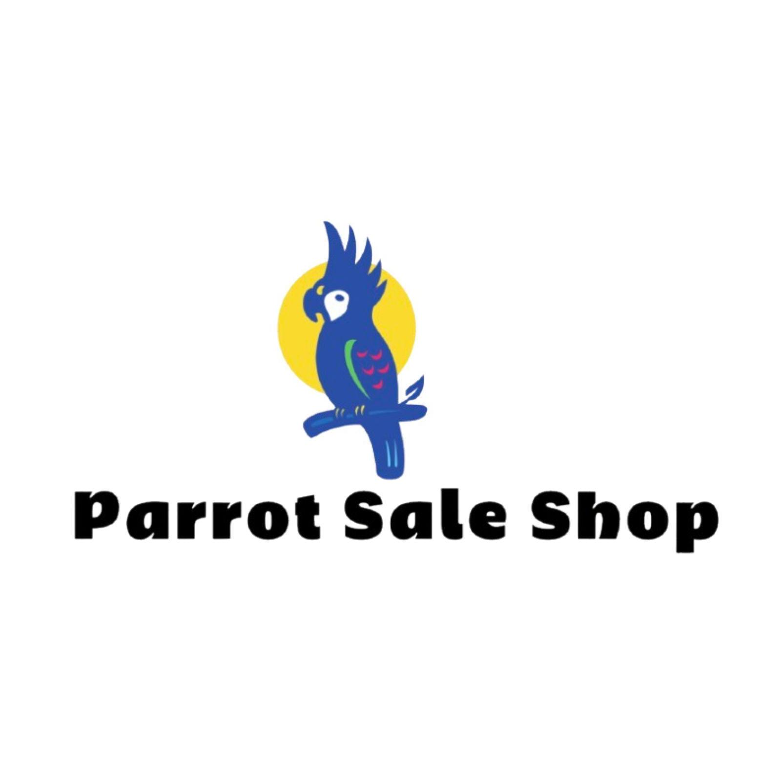 Parrot Sale  Shop