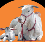 Gokuldham Mahatirth