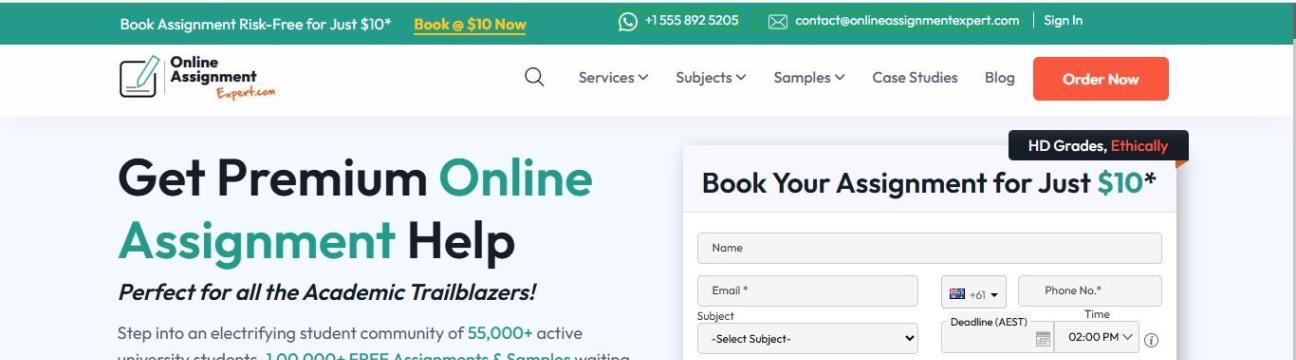 Online Assignment Expert