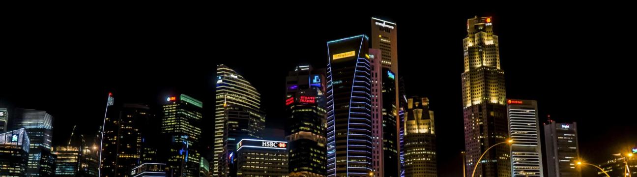 Singapore Immigration Partners