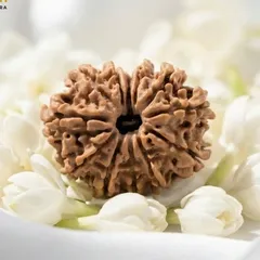 Rudra Sprash