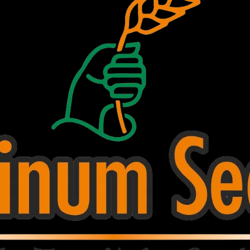 Platinum Seeds